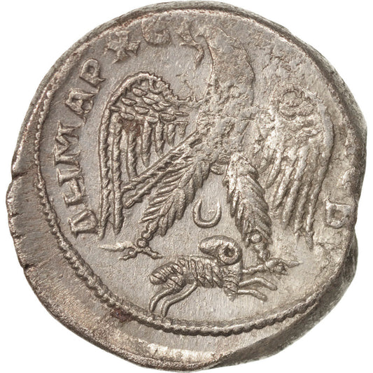 minca,
Gordius III,
Tetradrachm