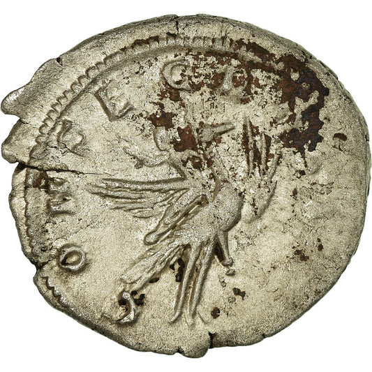 minca,
mariiana,
Antoninian