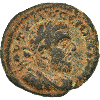 minca, 
  
  Seleucus a Pieria, 
  
  Macrinus