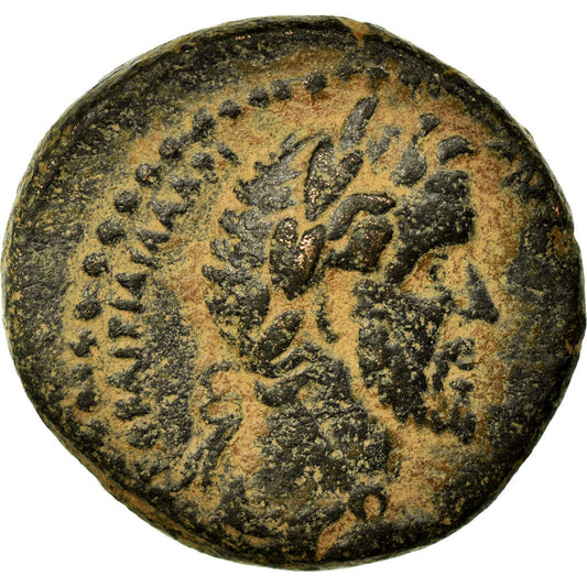 minca, 
  
  liečivý, 
  
  Antoninus Pius