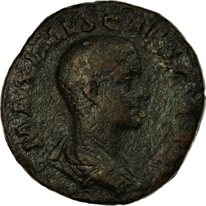 minca,
 
 Maximus,
 
 Sestertius